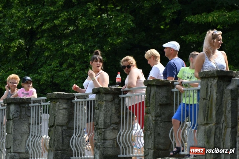 Zdjęcie w galerii na portalu naszraciborz.pl: Zmagania wodniackie na stawie gondolowym  wiadomości z regionu