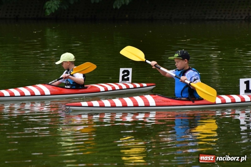 Zdjęcie w galerii na portalu naszraciborz.pl: Zmagania wodniackie na stawie gondolowym  wiadomości z regionu