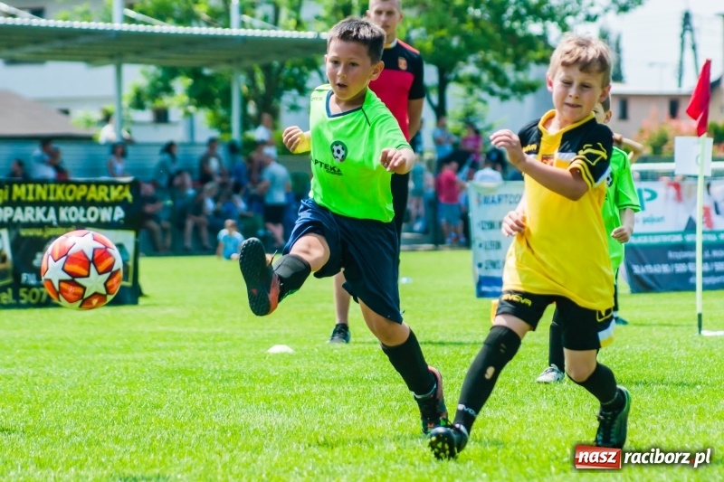 Zdjęcie w galerii na portalu naszraciborz.pl: Tworków Cup 2019. Sobotnia rywalizacja skrzatów za nami [FOTO] wiadomości z regionu