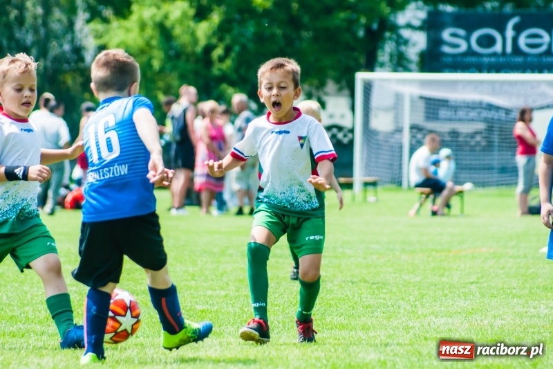 Zdjęcie w galerii na portalu naszraciborz.pl: Tworków Cup 2019. Sobotnia rywalizacja skrzatów za nami [FOTO] wiadomości z regionu