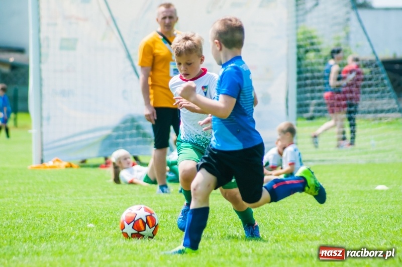 Zdjęcie w galerii na portalu naszraciborz.pl: Tworków Cup 2019. Sobotnia rywalizacja skrzatów za nami [FOTO] wiadomości z regionu