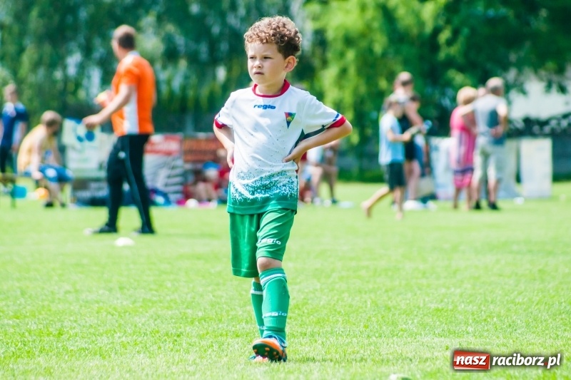 Zdjęcie w galerii na portalu naszraciborz.pl: Tworków Cup 2019. Sobotnia rywalizacja skrzatów za nami [FOTO] wiadomości z regionu