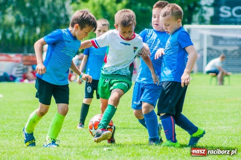 Zdjęcie w galerii na portalu naszraciborz.pl: Tworków Cup 2019. Sobotnia rywalizacja skrzatów za nami [FOTO] wiadomości z regionu