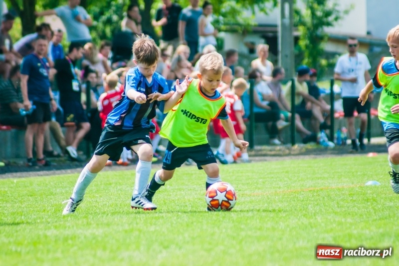 Zdjęcie w galerii na portalu naszraciborz.pl: Tworków Cup 2019. Sobotnia rywalizacja skrzatów za nami [FOTO] wiadomości z regionu