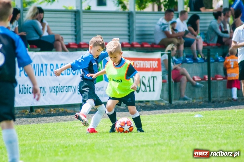 Zdjęcie w galerii na portalu naszraciborz.pl: Tworków Cup 2019. Sobotnia rywalizacja skrzatów za nami [FOTO] wiadomości z regionu