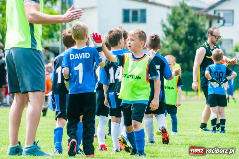 Zdjęcie w galerii na portalu naszraciborz.pl: Tworków Cup 2019. Sobotnia rywalizacja skrzatów za nami [FOTO] wiadomości z regionu