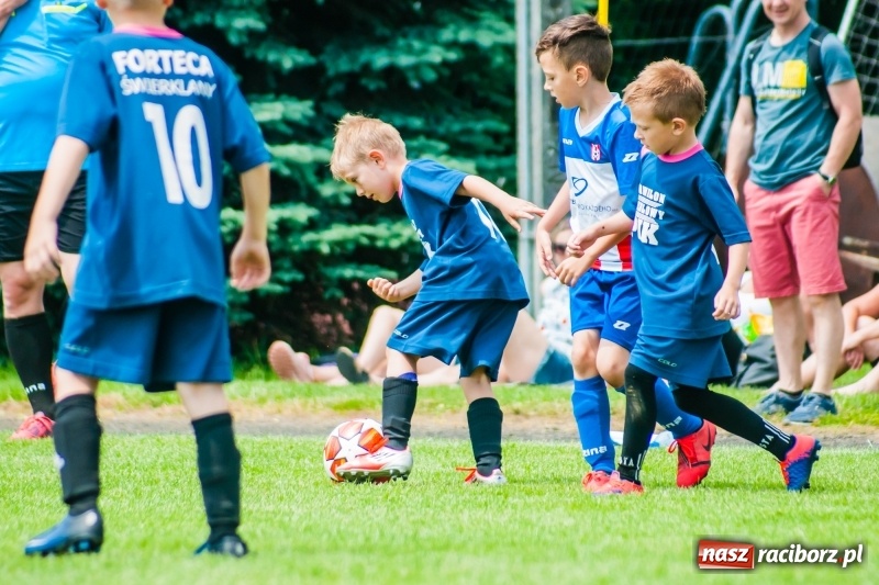 Zdjęcie w galerii na portalu naszraciborz.pl: Tworków Cup 2019. Sobotnia rywalizacja skrzatów za nami [FOTO] wiadomości z regionu