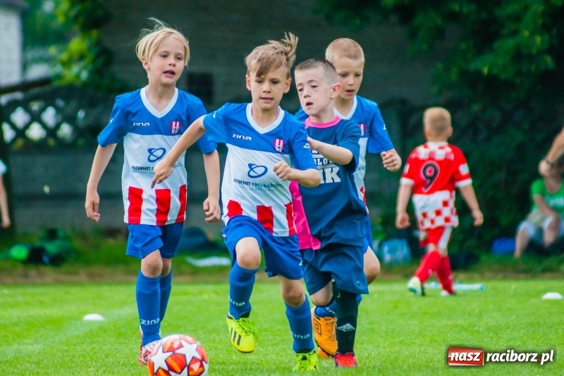Zdjęcie w galerii na portalu naszraciborz.pl: Tworków Cup 2019. Sobotnia rywalizacja skrzatów za nami [FOTO] wiadomości z regionu