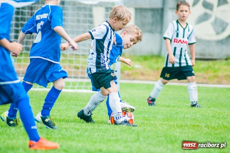 Zdjęcie w galerii na portalu naszraciborz.pl: Tworków Cup 2019. Sobotnia rywalizacja skrzatów za nami [FOTO] wiadomości z regionu