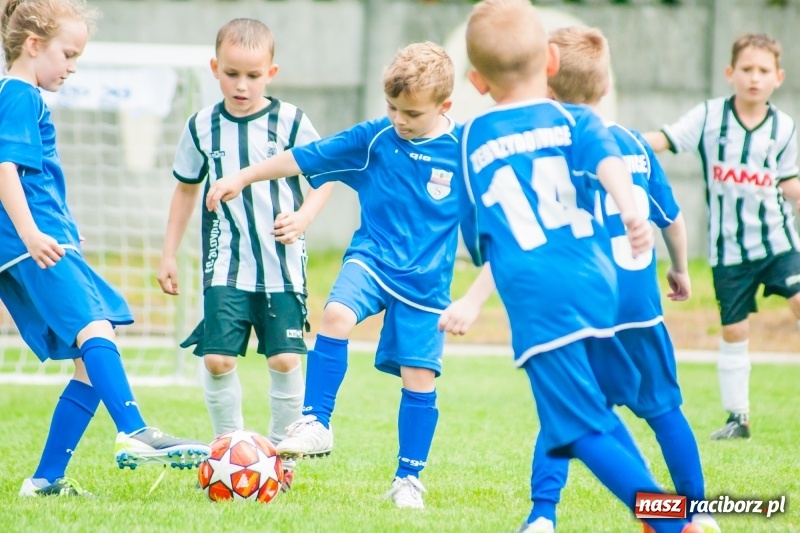 Zdjęcie w galerii na portalu naszraciborz.pl: Tworków Cup 2019. Sobotnia rywalizacja skrzatów za nami [FOTO] wiadomości z regionu
