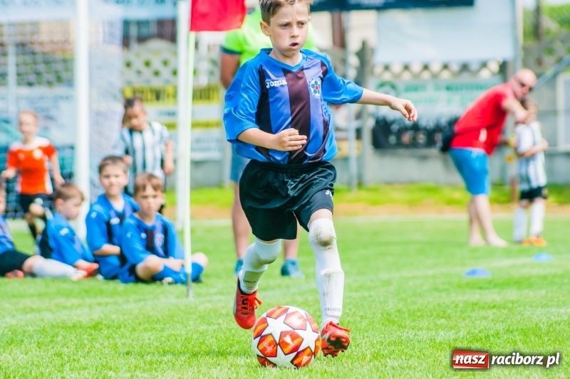 Zdjęcie w galerii na portalu naszraciborz.pl: Tworków Cup 2019. Sobotnia rywalizacja skrzatów za nami [FOTO] wiadomości z regionu