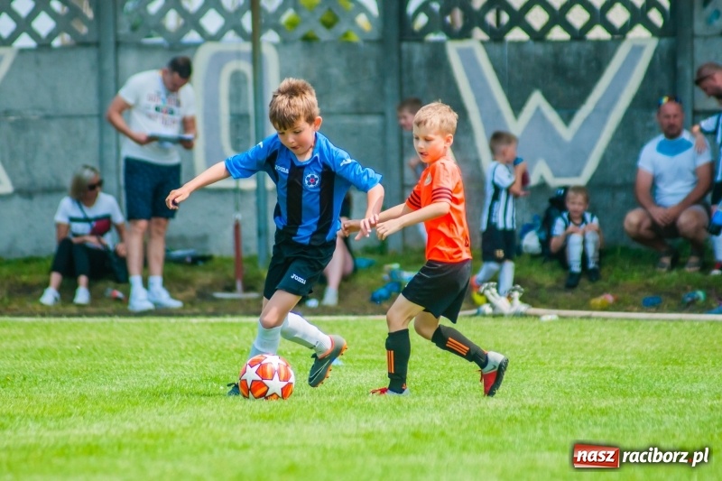 Zdjęcie w galerii na portalu naszraciborz.pl: Tworków Cup 2019. Sobotnia rywalizacja skrzatów za nami [FOTO] wiadomości z regionu