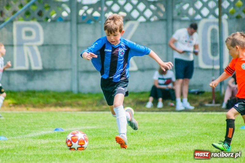 Zdjęcie w galerii na portalu naszraciborz.pl: Tworków Cup 2019. Sobotnia rywalizacja skrzatów za nami [FOTO] wiadomości z regionu