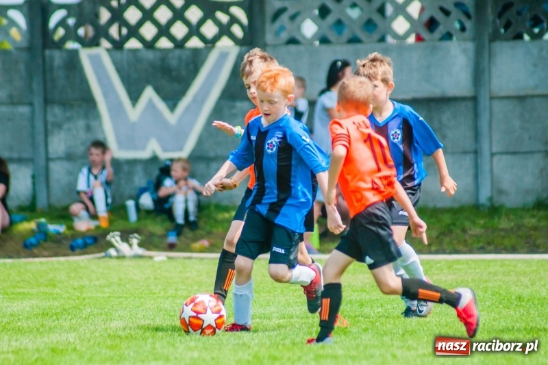 Zdjęcie w galerii na portalu naszraciborz.pl: Tworków Cup 2019. Sobotnia rywalizacja skrzatów za nami [FOTO] wiadomości z regionu