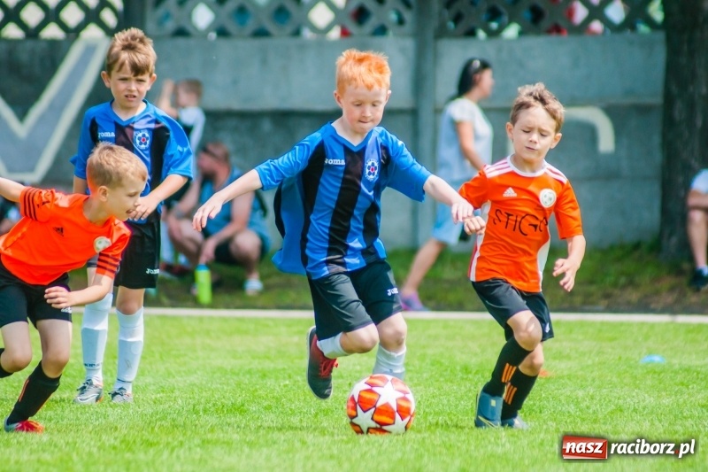 Zdjęcie w galerii na portalu naszraciborz.pl: Tworków Cup 2019. Sobotnia rywalizacja skrzatów za nami [FOTO] wiadomości z regionu