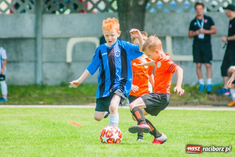 Zdjęcie w galerii na portalu naszraciborz.pl: Tworków Cup 2019. Sobotnia rywalizacja skrzatów za nami [FOTO] wiadomości z regionu