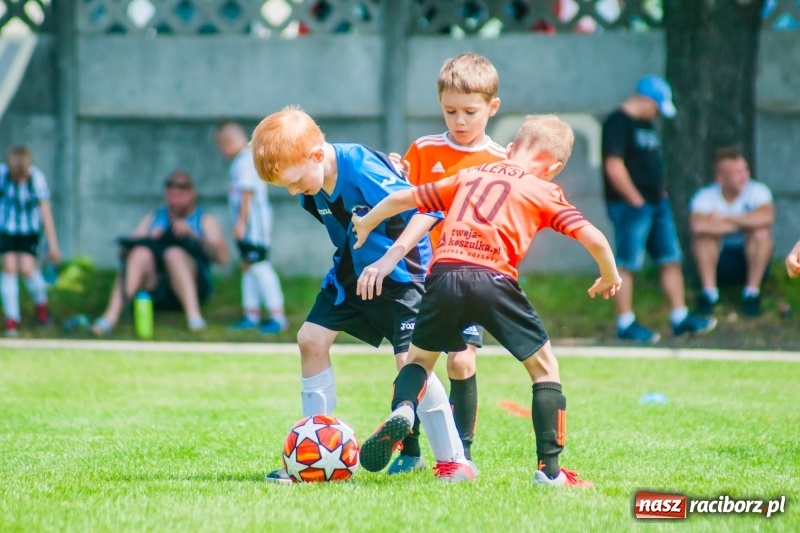 Zdjęcie w galerii na portalu naszraciborz.pl: Tworków Cup 2019. Sobotnia rywalizacja skrzatów za nami [FOTO] wiadomości z regionu