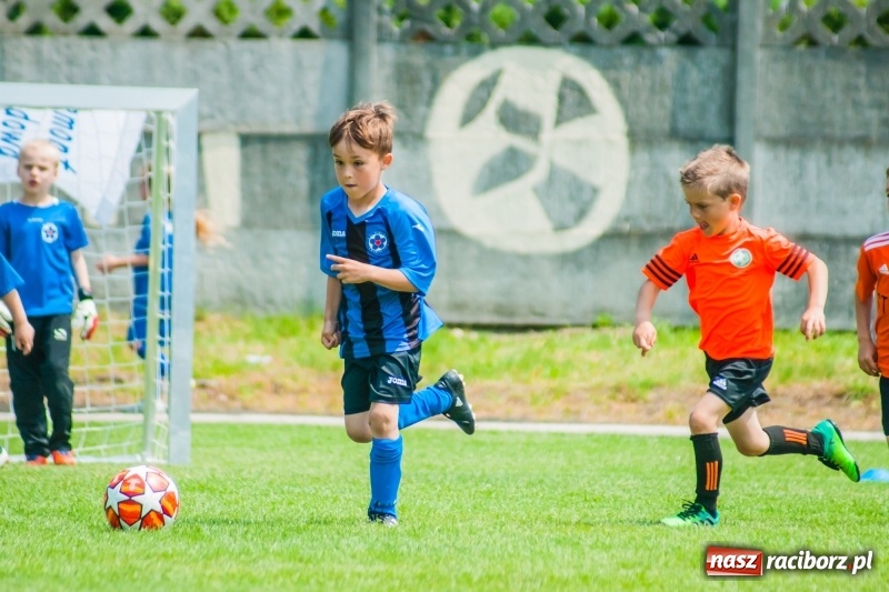 Zdjęcie w galerii na portalu naszraciborz.pl: Tworków Cup 2019. Sobotnia rywalizacja skrzatów za nami [FOTO] wiadomości z regionu