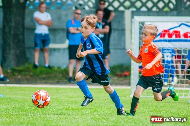 Zdjęcie w galerii na portalu naszraciborz.pl: Tworków Cup 2019. Sobotnia rywalizacja skrzatów za nami [FOTO] wiadomości z regionu