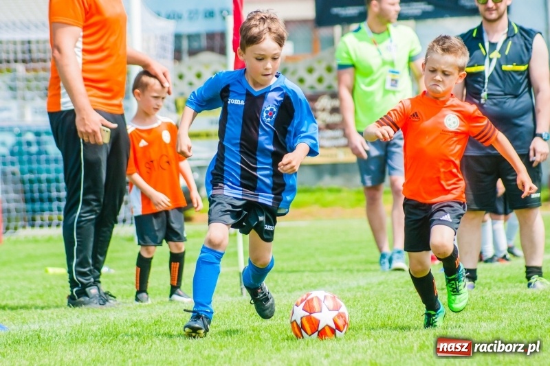 Zdjęcie w galerii na portalu naszraciborz.pl: Tworków Cup 2019. Sobotnia rywalizacja skrzatów za nami [FOTO] wiadomości z regionu