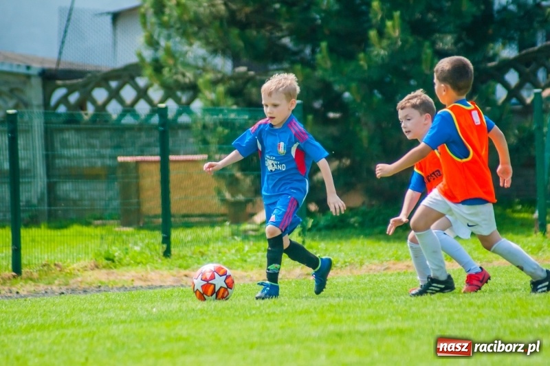 Zdjęcie w galerii na portalu naszraciborz.pl: Tworków Cup 2019. Sobotnia rywalizacja skrzatów za nami [FOTO] wiadomości z regionu