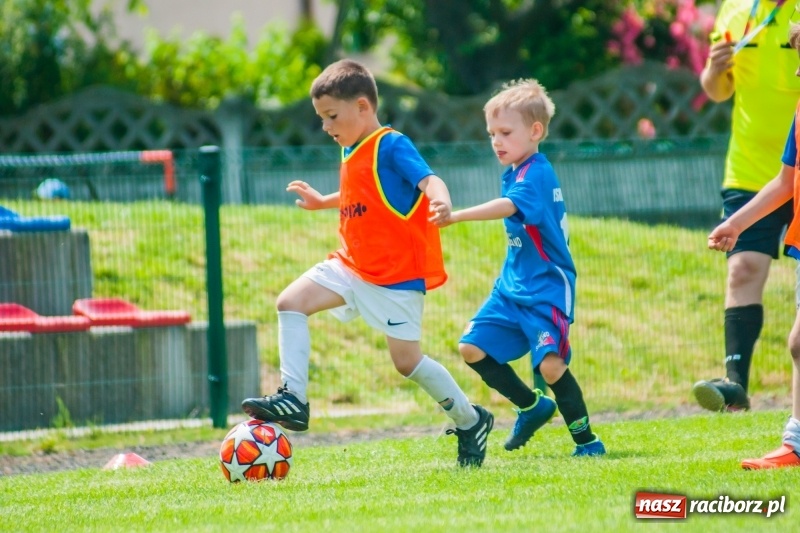 Zdjęcie w galerii na portalu naszraciborz.pl: Tworków Cup 2019. Sobotnia rywalizacja skrzatów za nami [FOTO] wiadomości z regionu