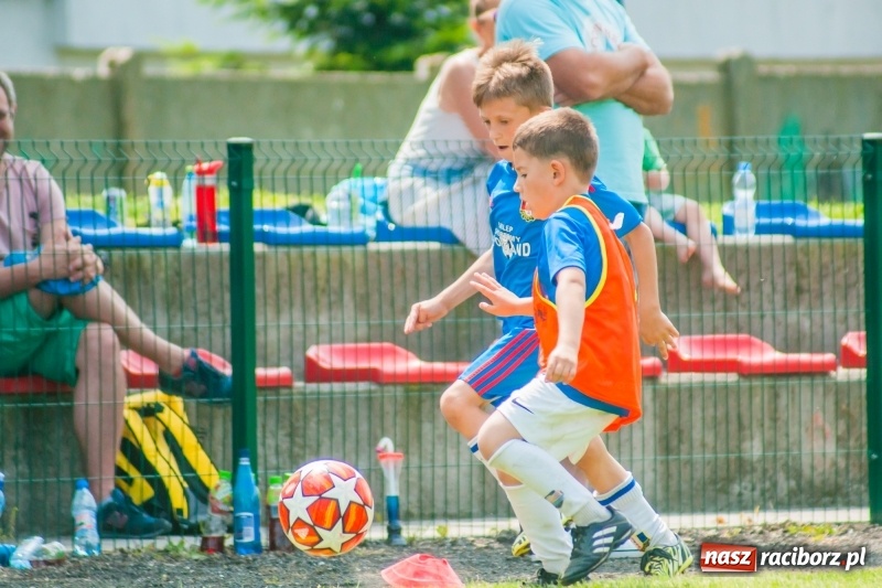 Zdjęcie w galerii na portalu naszraciborz.pl: Tworków Cup 2019. Sobotnia rywalizacja skrzatów za nami [FOTO] wiadomości z regionu