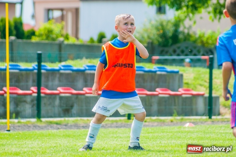 Zdjęcie w galerii na portalu naszraciborz.pl: Tworków Cup 2019. Sobotnia rywalizacja skrzatów za nami [FOTO] wiadomości z regionu