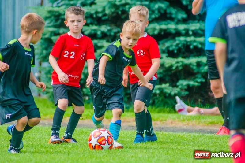 Zdjęcie w galerii na portalu naszraciborz.pl: Tworków Cup 2019. Sobotnia rywalizacja skrzatów za nami [FOTO] wiadomości z regionu