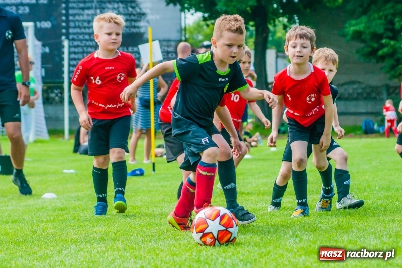 Zdjęcie w galerii na portalu naszraciborz.pl: Tworków Cup 2019. Sobotnia rywalizacja skrzatów za nami [FOTO] wiadomości z regionu