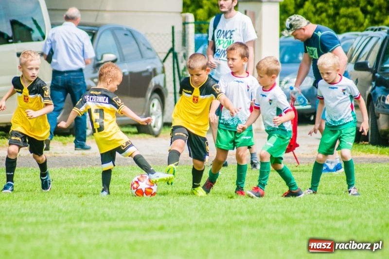 Zdjęcie w galerii na portalu naszraciborz.pl: Tworków Cup 2019. Sobotnia rywalizacja skrzatów za nami [FOTO] wiadomości z regionu