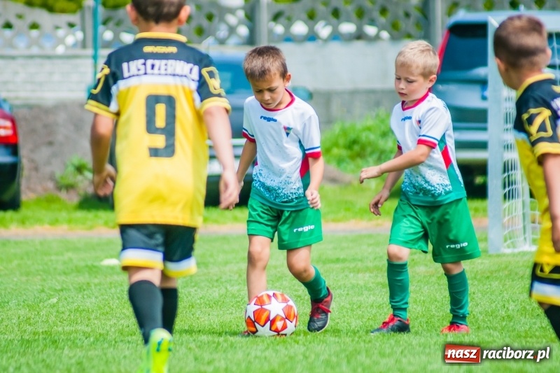 Zdjęcie w galerii na portalu naszraciborz.pl: Tworków Cup 2019. Sobotnia rywalizacja skrzatów za nami [FOTO] wiadomości z regionu