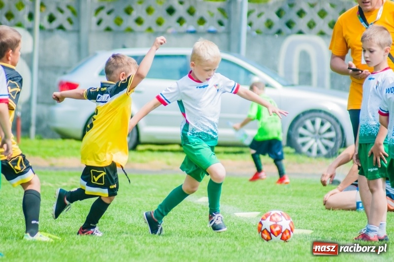 Zdjęcie w galerii na portalu naszraciborz.pl: Tworków Cup 2019. Sobotnia rywalizacja skrzatów za nami [FOTO] wiadomości z regionu