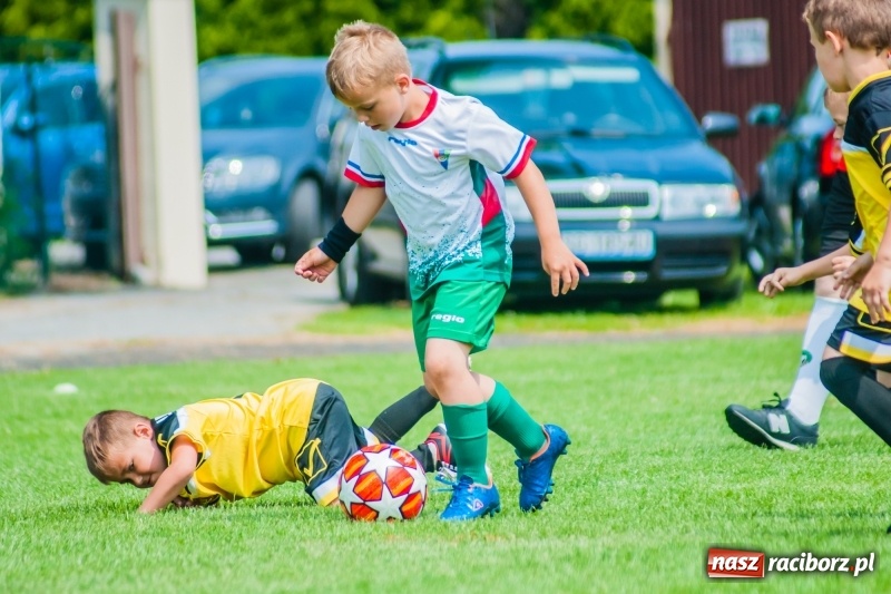 Zdjęcie w galerii na portalu naszraciborz.pl: Tworków Cup 2019. Sobotnia rywalizacja skrzatów za nami [FOTO] wiadomości z regionu