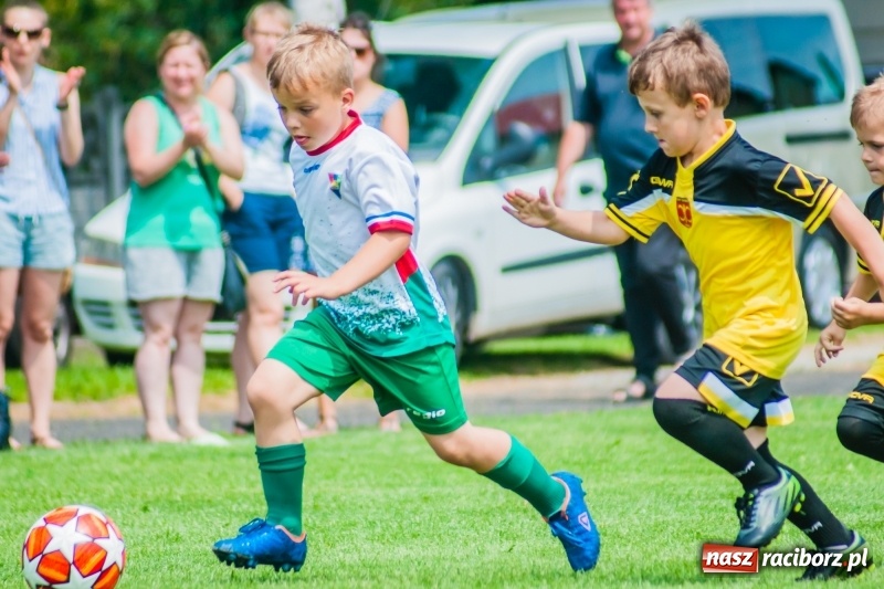 Zdjęcie w galerii na portalu naszraciborz.pl: Tworków Cup 2019. Sobotnia rywalizacja skrzatów za nami [FOTO] wiadomości z regionu