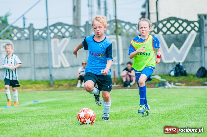Zdjęcie w galerii na portalu naszraciborz.pl: Tworków Cup 2019. Sobotnia rywalizacja skrzatów za nami [FOTO] wiadomości z regionu