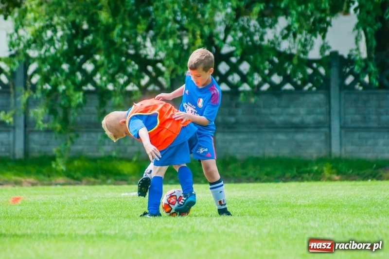 Zdjęcie w galerii na portalu naszraciborz.pl: Tworków Cup 2019. Sobotnia rywalizacja skrzatów za nami [FOTO] wiadomości z regionu