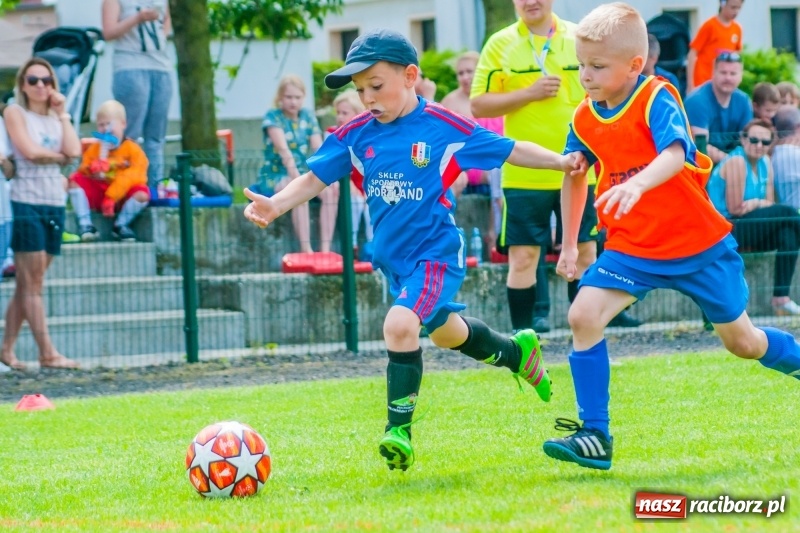 Zdjęcie w galerii na portalu naszraciborz.pl: Tworków Cup 2019. Sobotnia rywalizacja skrzatów za nami [FOTO] wiadomości z regionu