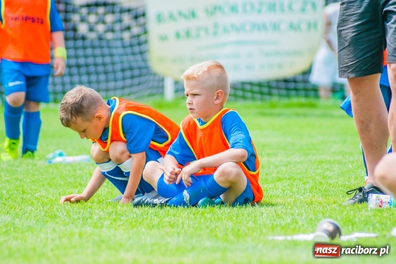 Zdjęcie w galerii na portalu naszraciborz.pl: Tworków Cup 2019. Sobotnia rywalizacja skrzatów za nami [FOTO] wiadomości z regionu