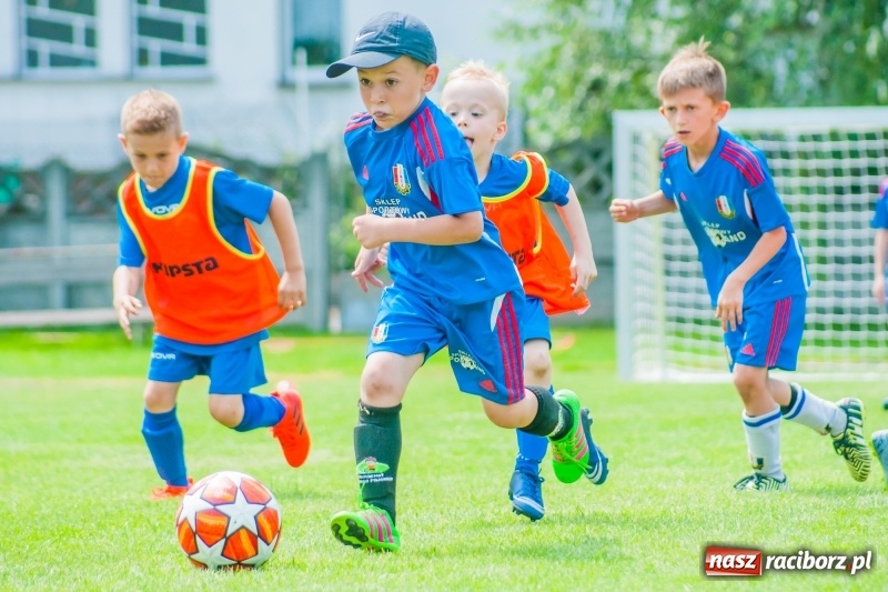 Zdjęcie w galerii na portalu naszraciborz.pl: Tworków Cup 2019. Sobotnia rywalizacja skrzatów za nami [FOTO] wiadomości z regionu