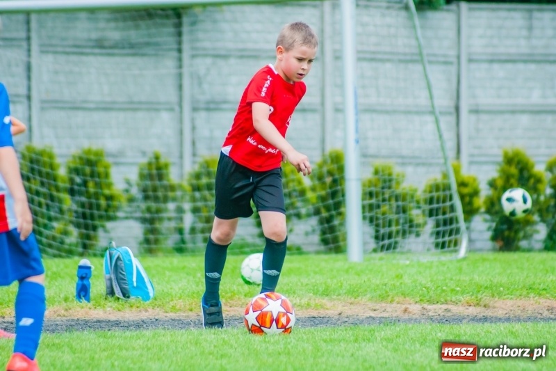 Zdjęcie w galerii na portalu naszraciborz.pl: Tworków Cup 2019. Sobotnia rywalizacja skrzatów za nami [FOTO] wiadomości z regionu