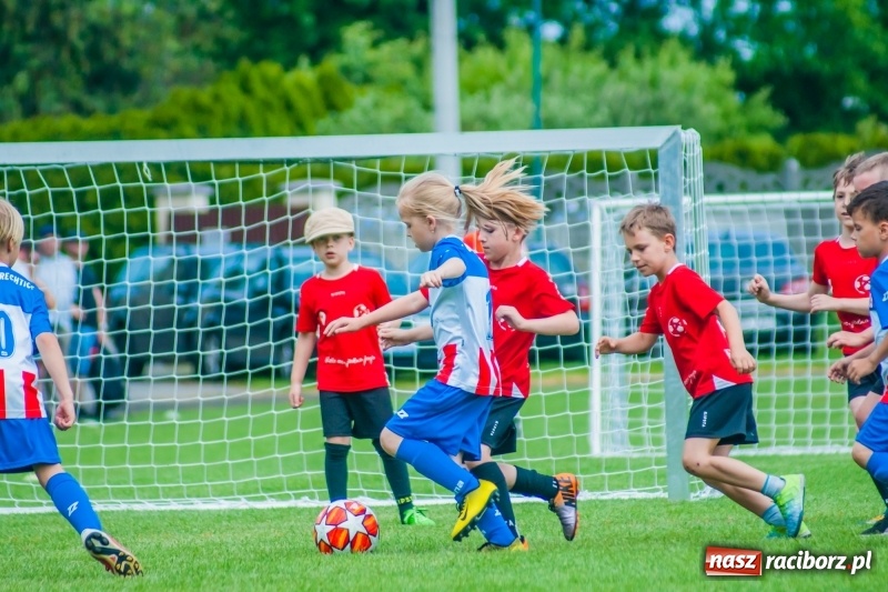 Zdjęcie w galerii na portalu naszraciborz.pl: Tworków Cup 2019. Sobotnia rywalizacja skrzatów za nami [FOTO] wiadomości z regionu