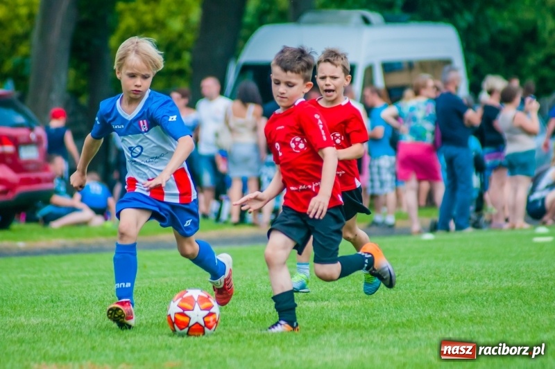 Zdjęcie w galerii na portalu naszraciborz.pl: Tworków Cup 2019. Sobotnia rywalizacja skrzatów za nami [FOTO] wiadomości z regionu