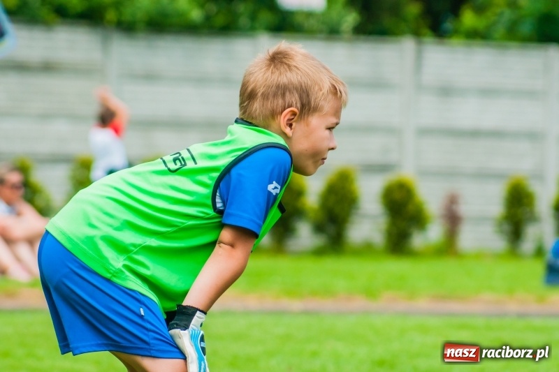 Zdjęcie w galerii na portalu naszraciborz.pl: Tworków Cup 2019. Sobotnia rywalizacja skrzatów za nami [FOTO] wiadomości z regionu