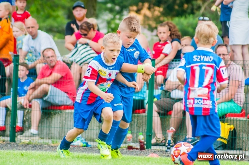 Zdjęcie w galerii na portalu naszraciborz.pl: Tworków Cup 2019. Sobotnia rywalizacja skrzatów za nami [FOTO] wiadomości z regionu