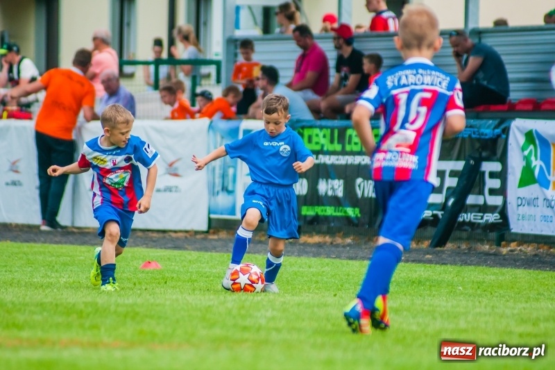 Zdjęcie w galerii na portalu naszraciborz.pl: Tworków Cup 2019. Sobotnia rywalizacja skrzatów za nami [FOTO] wiadomości z regionu