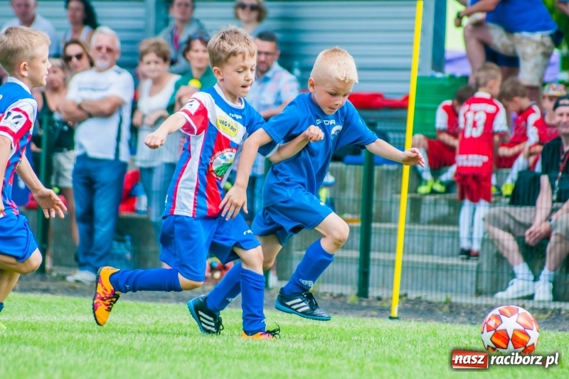 Zdjęcie w galerii na portalu naszraciborz.pl: Tworków Cup 2019. Sobotnia rywalizacja skrzatów za nami [FOTO] wiadomości z regionu