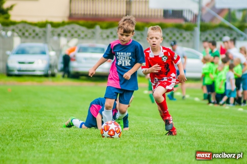 Zdjęcie w galerii na portalu naszraciborz.pl: Tworków Cup 2019. Sobotnia rywalizacja skrzatów za nami [FOTO] wiadomości z regionu