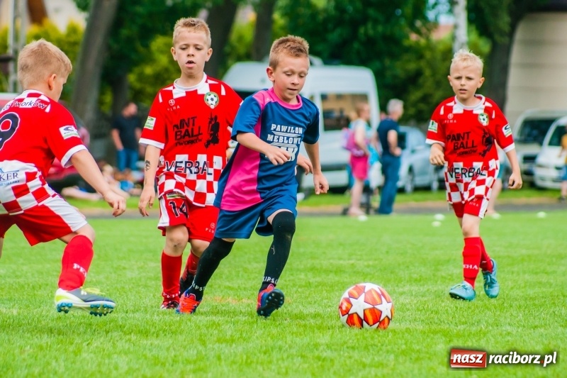 Zdjęcie w galerii na portalu naszraciborz.pl: Tworków Cup 2019. Sobotnia rywalizacja skrzatów za nami [FOTO] wiadomości z regionu