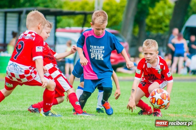 Zdjęcie w galerii na portalu naszraciborz.pl: Tworków Cup 2019. Sobotnia rywalizacja skrzatów za nami [FOTO] wiadomości z regionu